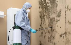 Why You Should Choose Our Mold Remediation Services in Woodcliff Lake, NJ